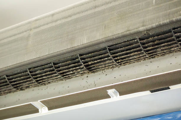 Best Air Duct Cleaning Near Me  in Hercules, CA